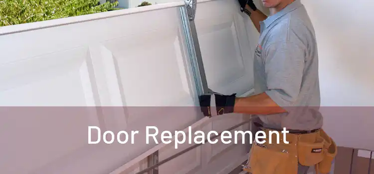  Door Replacement 